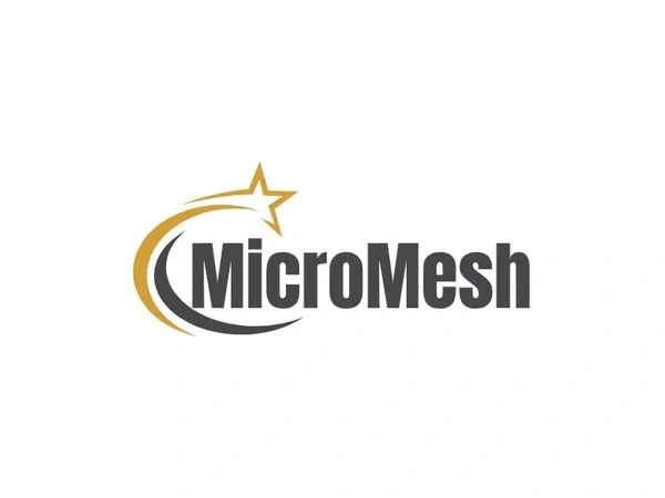 MicroMesh