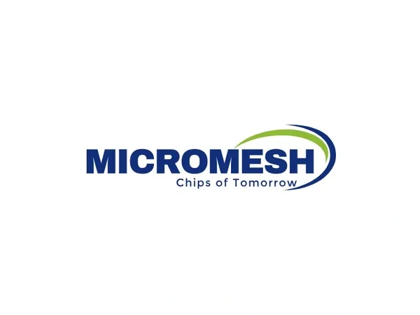 Micromesh